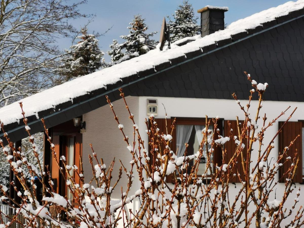 Bb19 Eifel-Ferienhaus Am Moseltal Mit Saunahaus Beuren  외부 사진