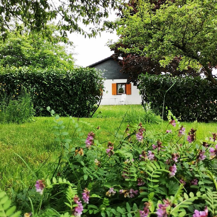 Bb19 Eifel-Ferienhaus Am Moseltal Mit Saunahaus Beuren  외부 사진